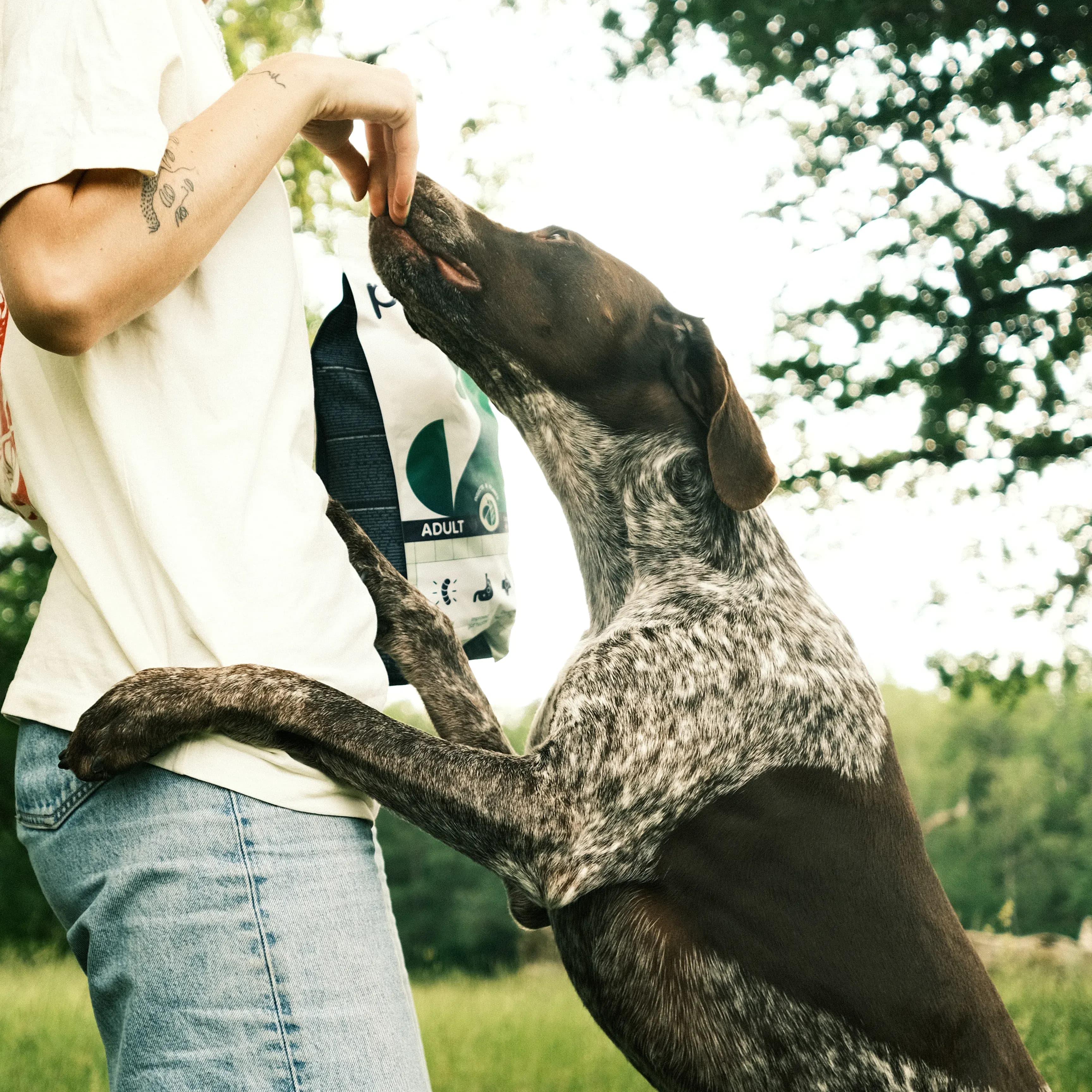 Petgood